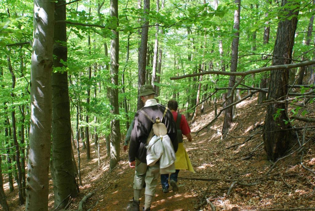 Ferienwohnung Pferdezentrum Edersee Waldeck  Ruang foto